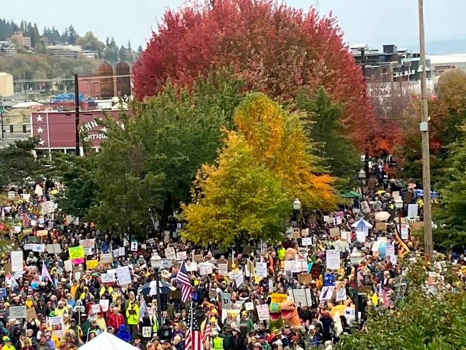 Thousands showed up in the rain for No Kings, Bellingham, WA. Photo by C. Walker.