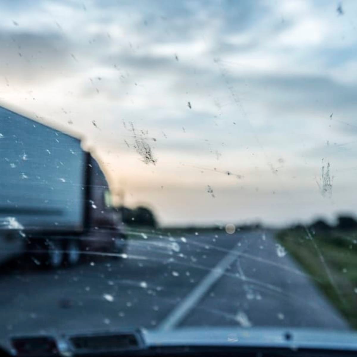Why You See Fewer Bugs on Windshields | Mental Floss Why You See Fewer Bugs on Windshields | Mental Floss