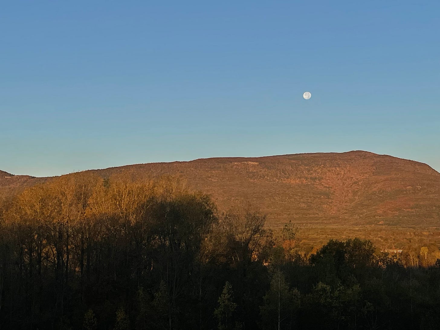 a landscape featuring the full moon setting over a wooded mountain, bathed in morning sun