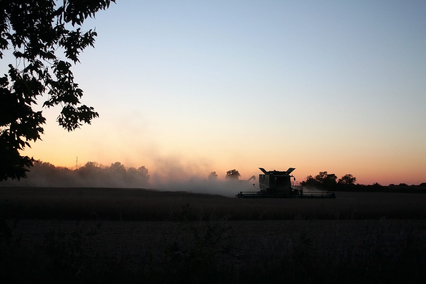 Autumn Harvest