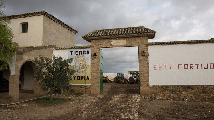Image result for marinaleda