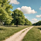 Quando a Vida se Encontra com a Sua Natureza