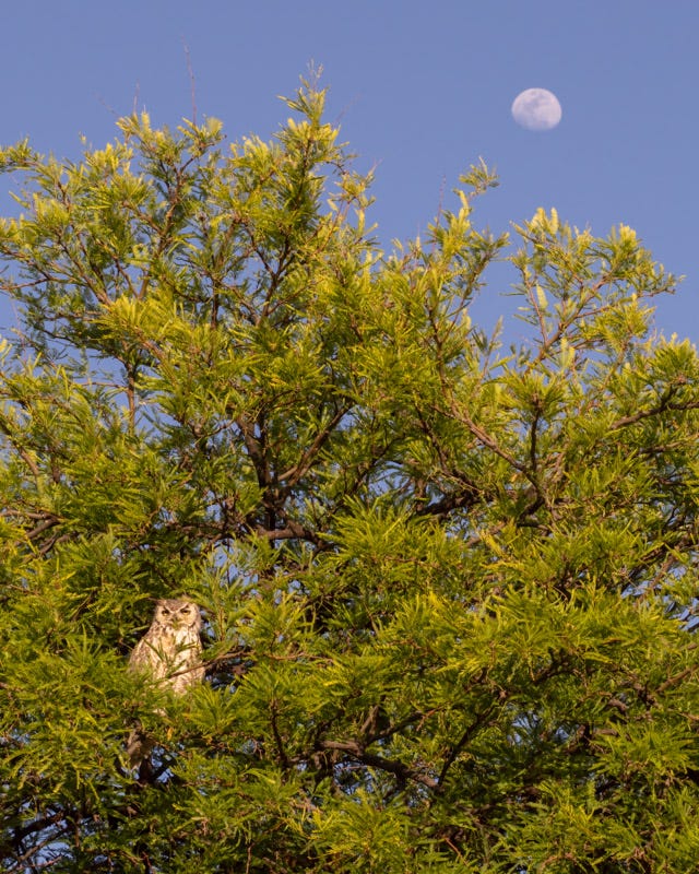 20260427-gho-383-Edit.jpg 20260427-gho-383-Edit.jpg