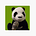 smallVOICE's avatar