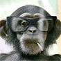 John da munky 🇬🇧's avatar