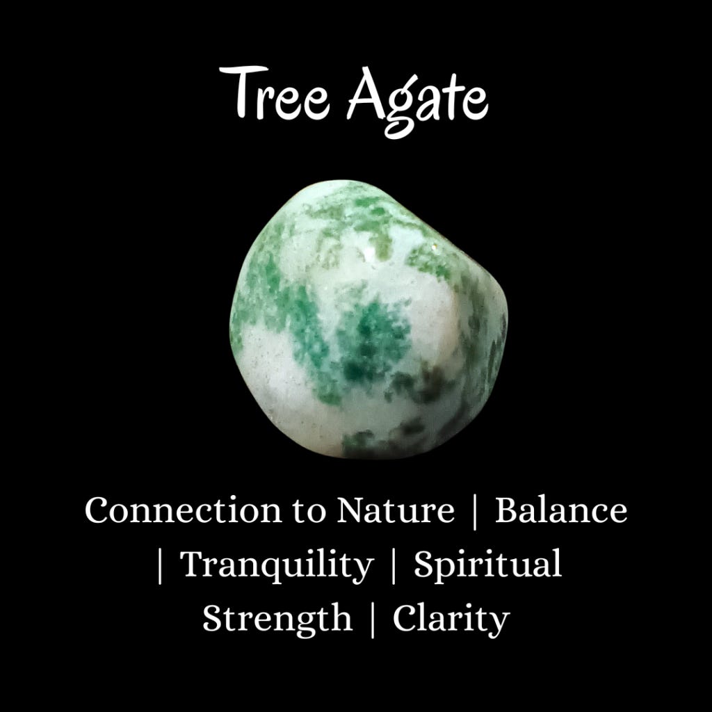 Connection to Nature | Tree Agate PROPERTIES, Balance | Tranquility | Spiritual Strength | Clarity Connection to Nature | Tree Agate PROPERTIES, Balance | Tranquility | Spiritual Strength | Clarity