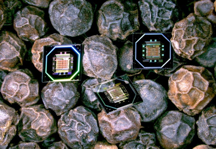 MintNeuro: redefining neurological interventions with bioelectronic implants | Imperial News | Imperial College London MintNeuro: redefining neurological interventions with bioelectronic implants | Imperial News | Imperial College London