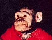 עדכון אישי: סיכום ביניים בבלוג