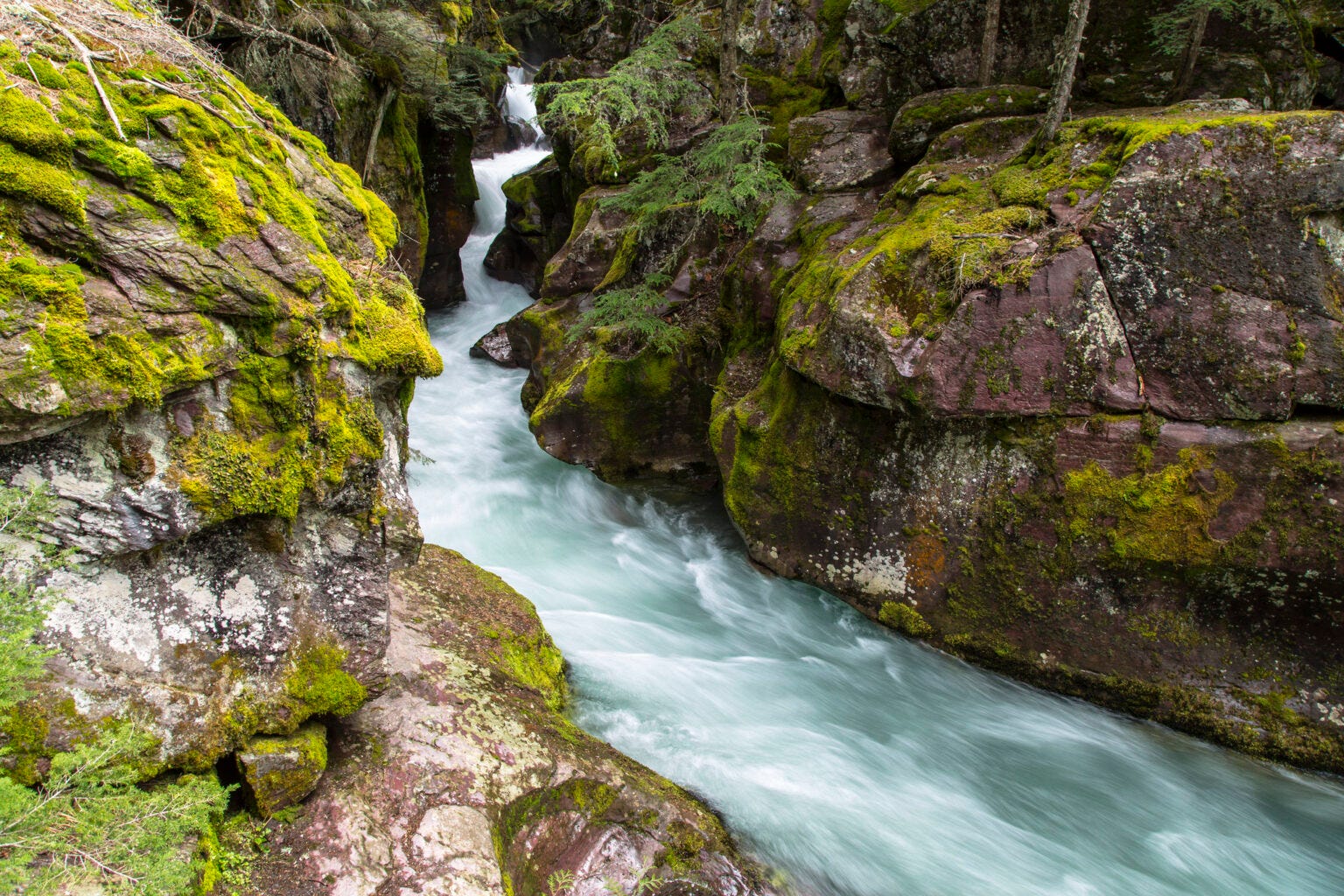 Avalanche Creek Gorge 4.23.16. (Photo by NPS / Jacob W. Frank)
