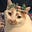 Rocket Cat's avatar