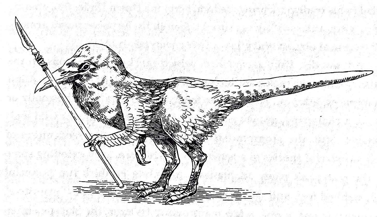 Black-and-white illustration of a feathered, bird-like dinosaur standing upright and holding a spear. Black-and-white illustration of a feathered, bird-like dinosaur standing upright and holding a spear.