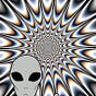 SOL's avatar