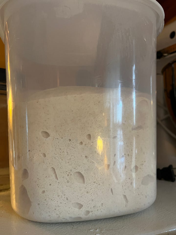 four images: 1 a jar of bubbly sourdough starter, 2 a tub of risen sourdough, 3, a loaf of bread on a cutting board, 4 the same loaf cut into pieces