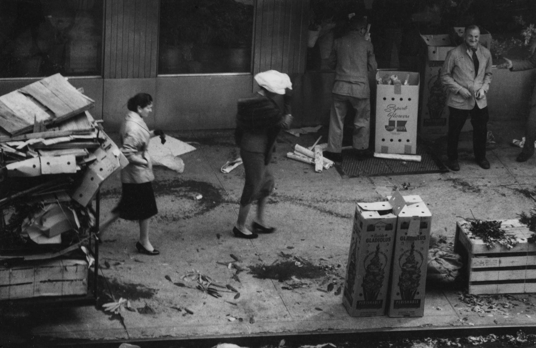 As From W. Eugene Smith's Window - by Stephen Joyce