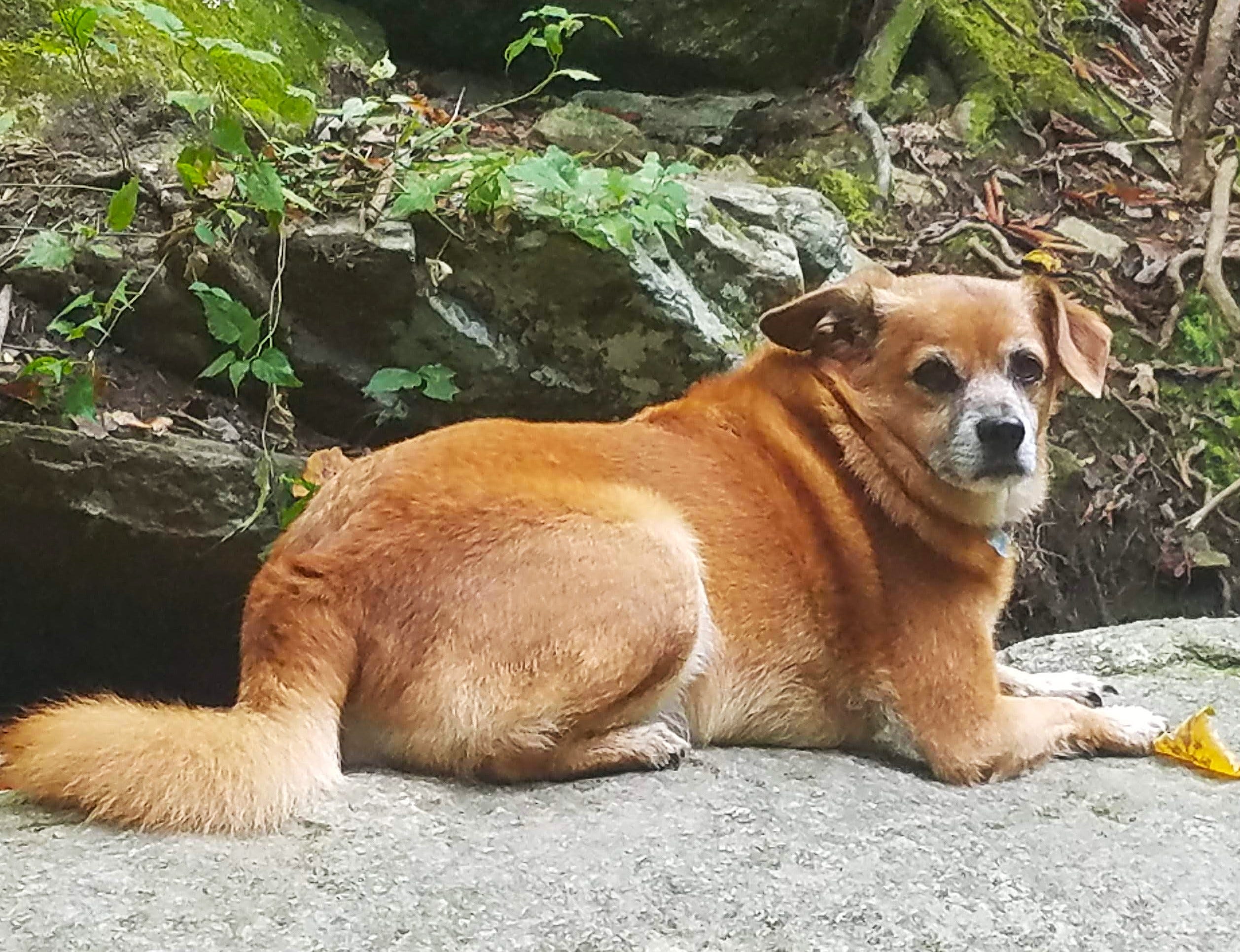 Goodbye, sweet love