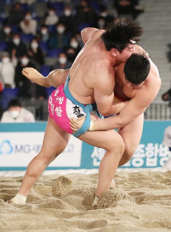 씨름 씨름