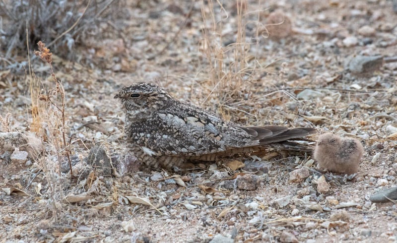 20200621_LN-64.jpg 20200621_LN-64.jpg