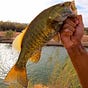Arizona Fishing Forecast's avatar