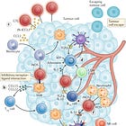 Cancer: hundreds of complex diseases that are plagued with misinformation