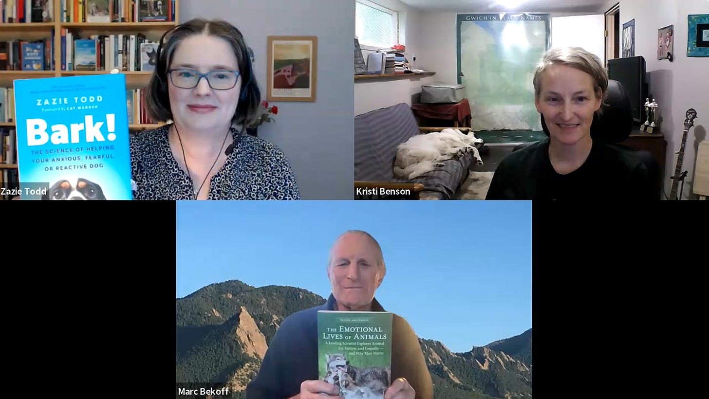 Zazie Todd, Kristi Benson, and Marc Bekoff on Zoom. Zazie is holding up a copy of Bark! and Marc is holding a copy of his book, The Emotional Lives of Animals