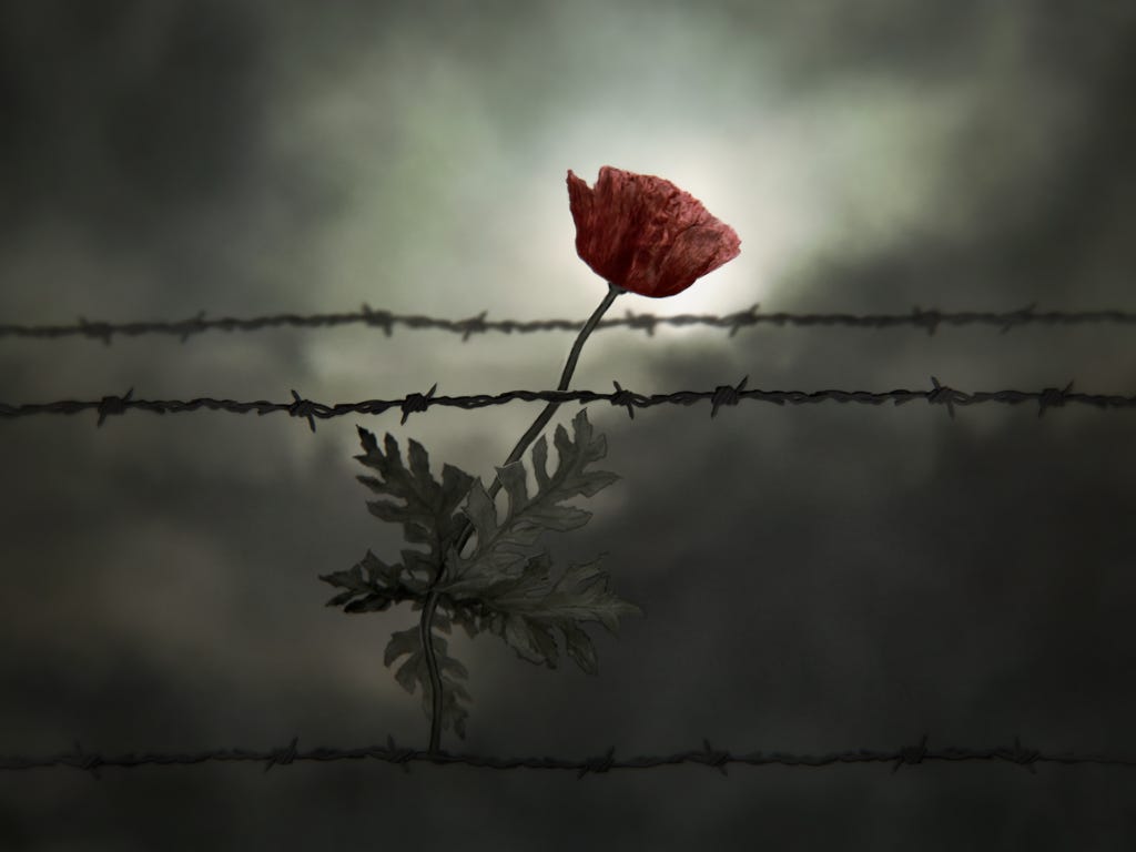 Artwork for Die drei Raben