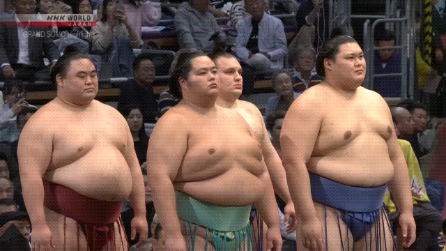 Sumo Stomp! | Tim Bissell | Substack