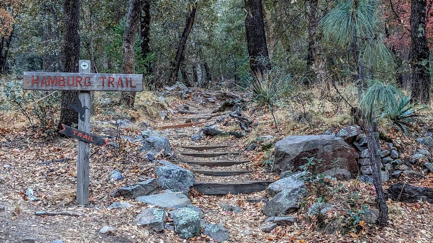 Hamburg Trail Sign next to a staircase heading up into a wooded area.