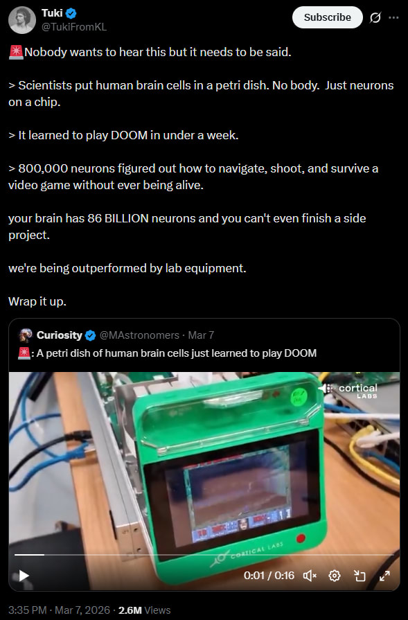 Scientists Teach Lab-Grown Human Brain Cells To Play Doom Videogame