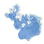 Fairhaven's avatar
