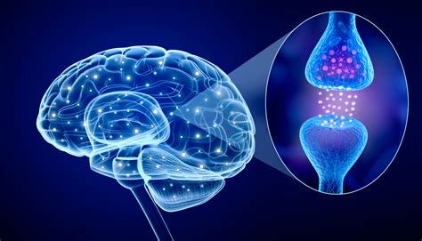 brain neuron synapse - Kaleidoscope Fighting Lupus