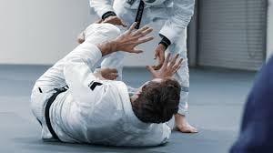 LAYERS OF GUARD RETENTION - THE GUARD ...