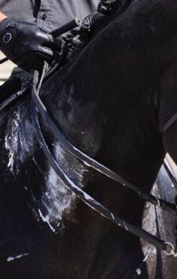 Sweaty-horse-foam