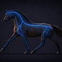 DressageFortheFuture's avatar