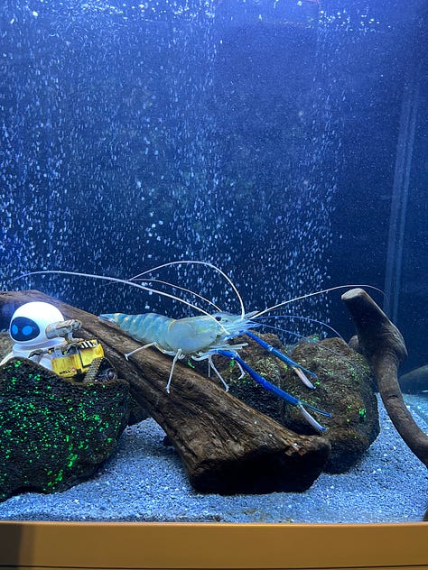 Aquaria KLCC