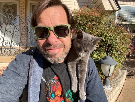 Photos of Skittles, the feral neighborhood cat.