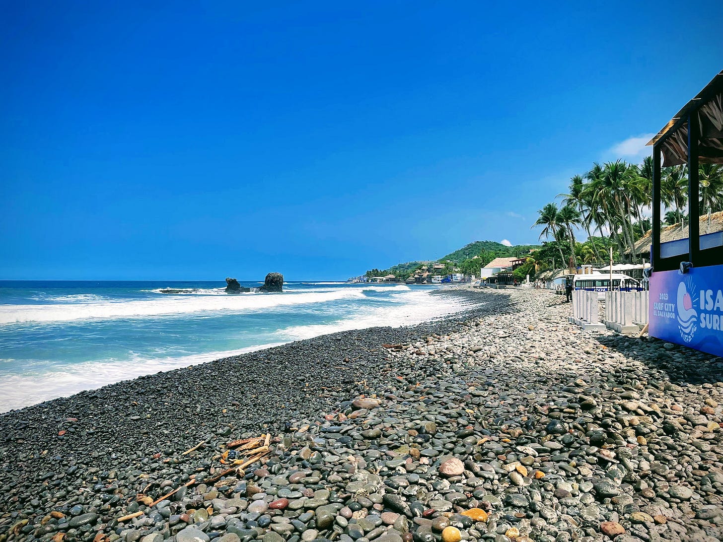 A rocky coastline under a bright blue sky, with palm trees and a few rocks in the ocean