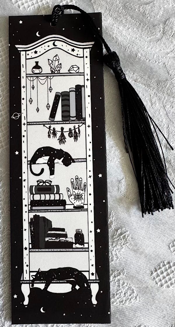 Cat on bookcase bookmark with black tassel