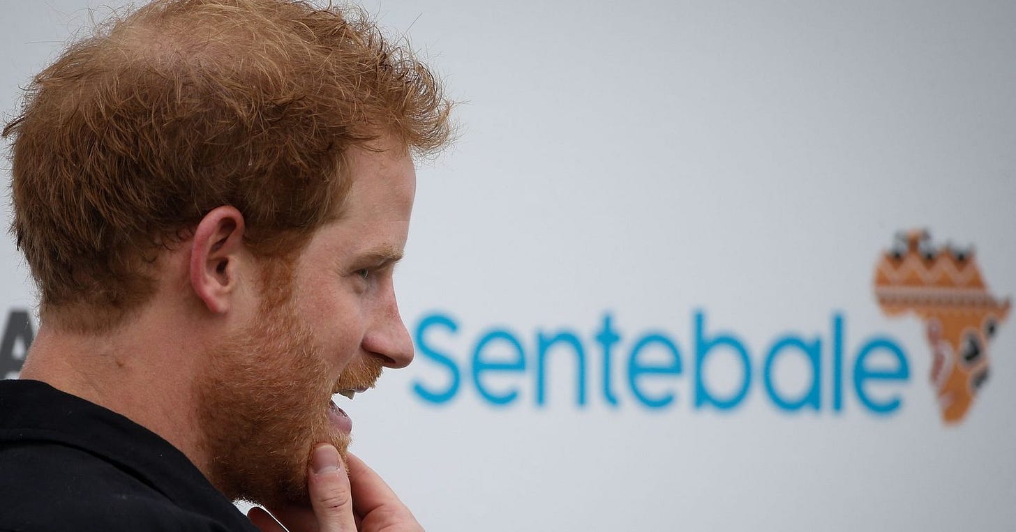 Prince Harry 'in shock' as he quits Sentebale charity set up in honour of  Princess Diana | UK News | Sky News