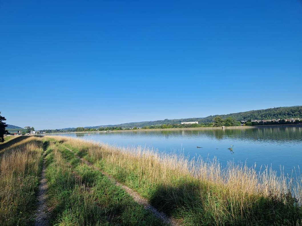 Embankment next to the water. the route follows the Rhine. power plant in the distance. blue skies. wide angle shot