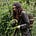 Becky O Cole's avatar