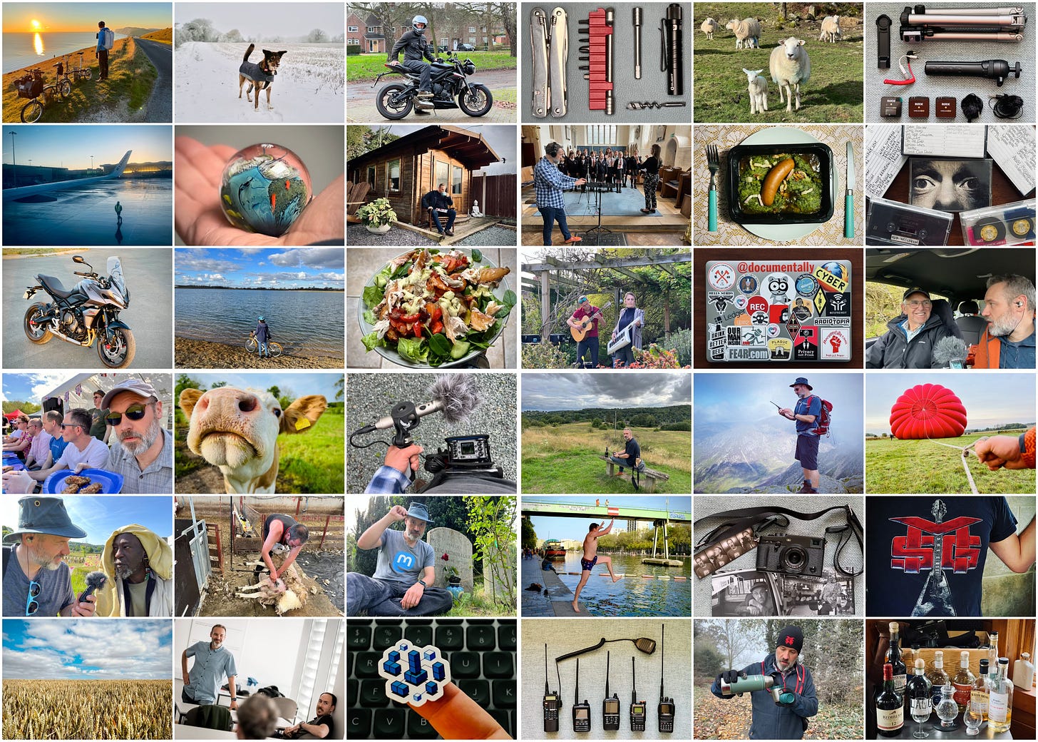 A montage of some of the photos taken this year
