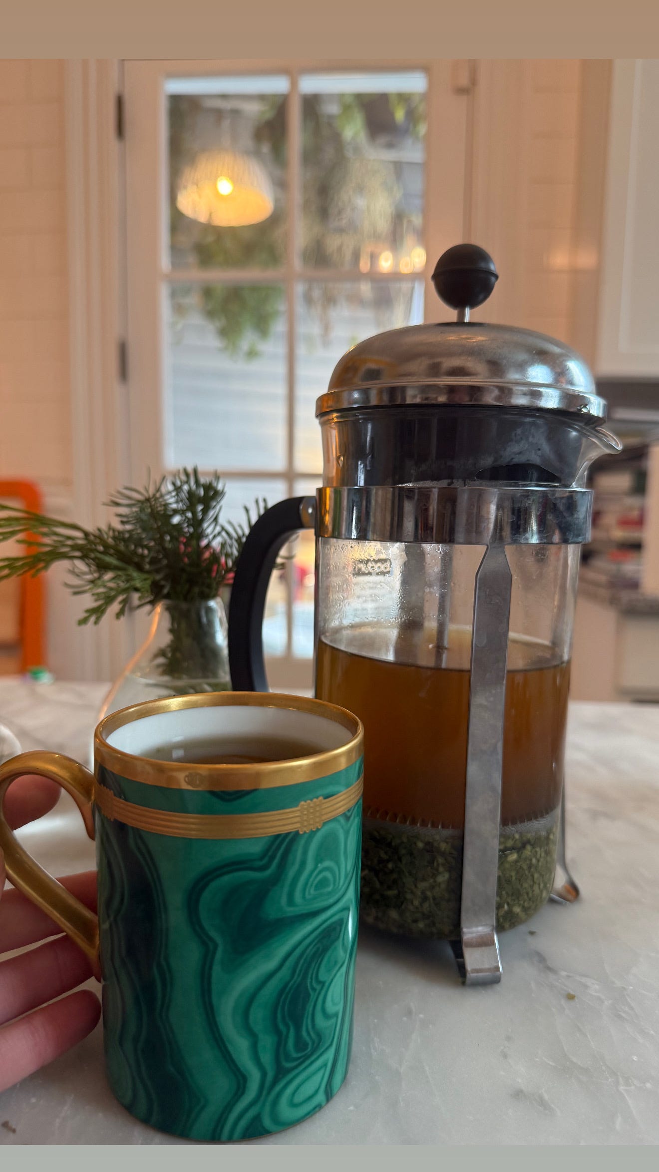 Yerba Mate in the French Press - by Alex Narramore