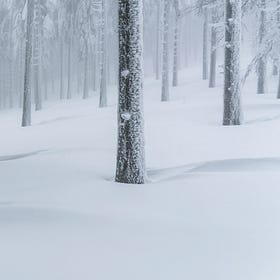 Chilly Scenes of Flash Fiction: Rendering Quiet Power