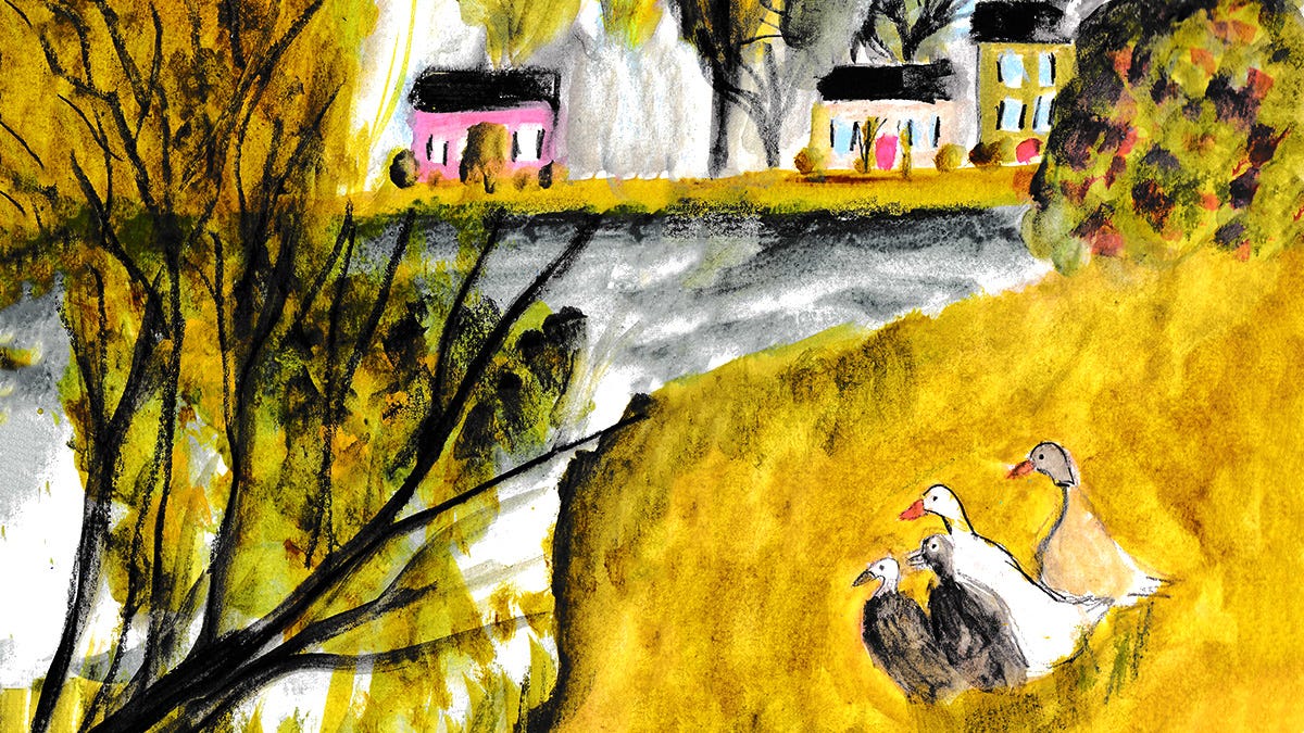 painting of ducks by Beth Spencer
