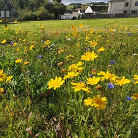 We need your help to count! The Highland 2024 Big Pollinator Count...