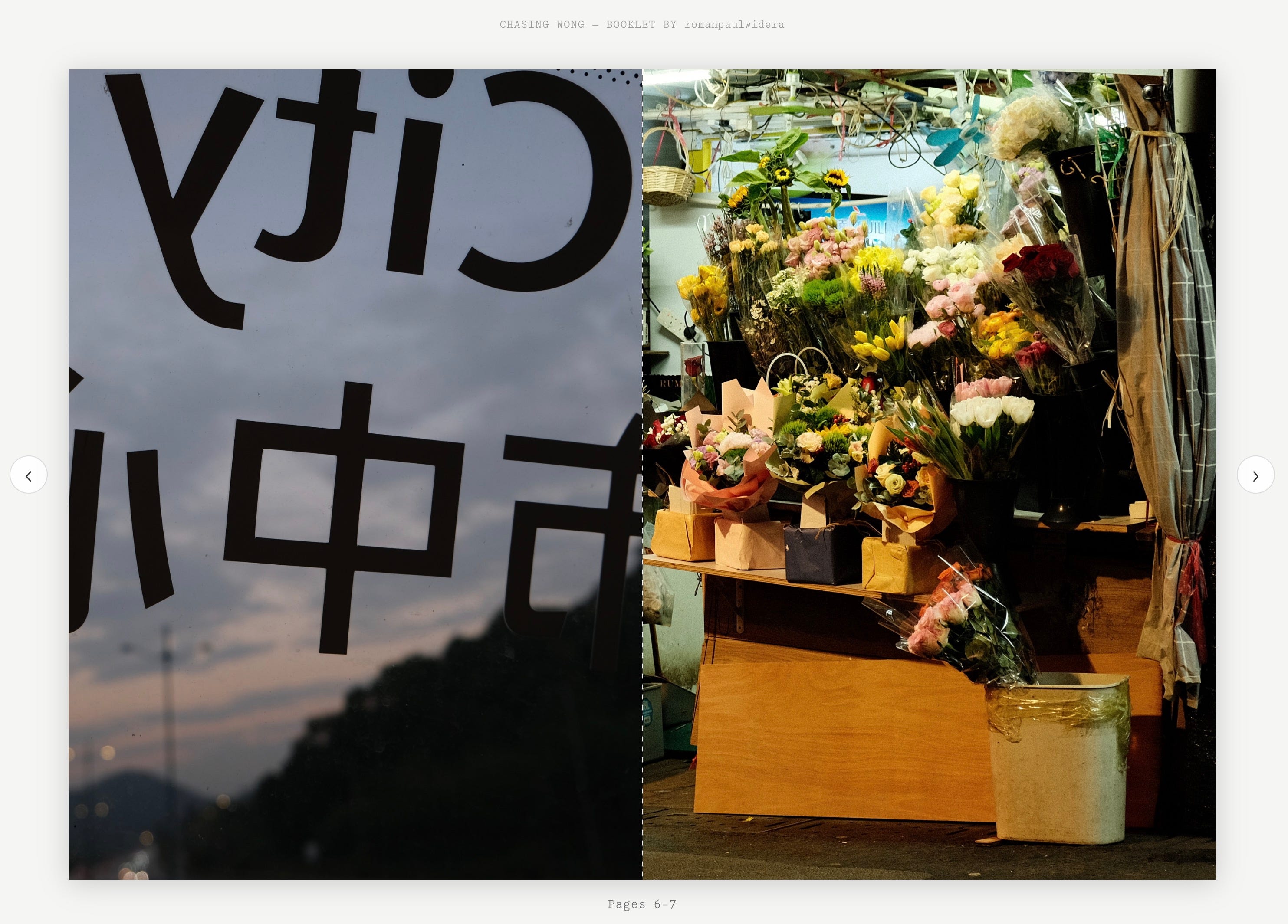 Small Town Zine Club - by Ramon Haindl - Notes from the Lab