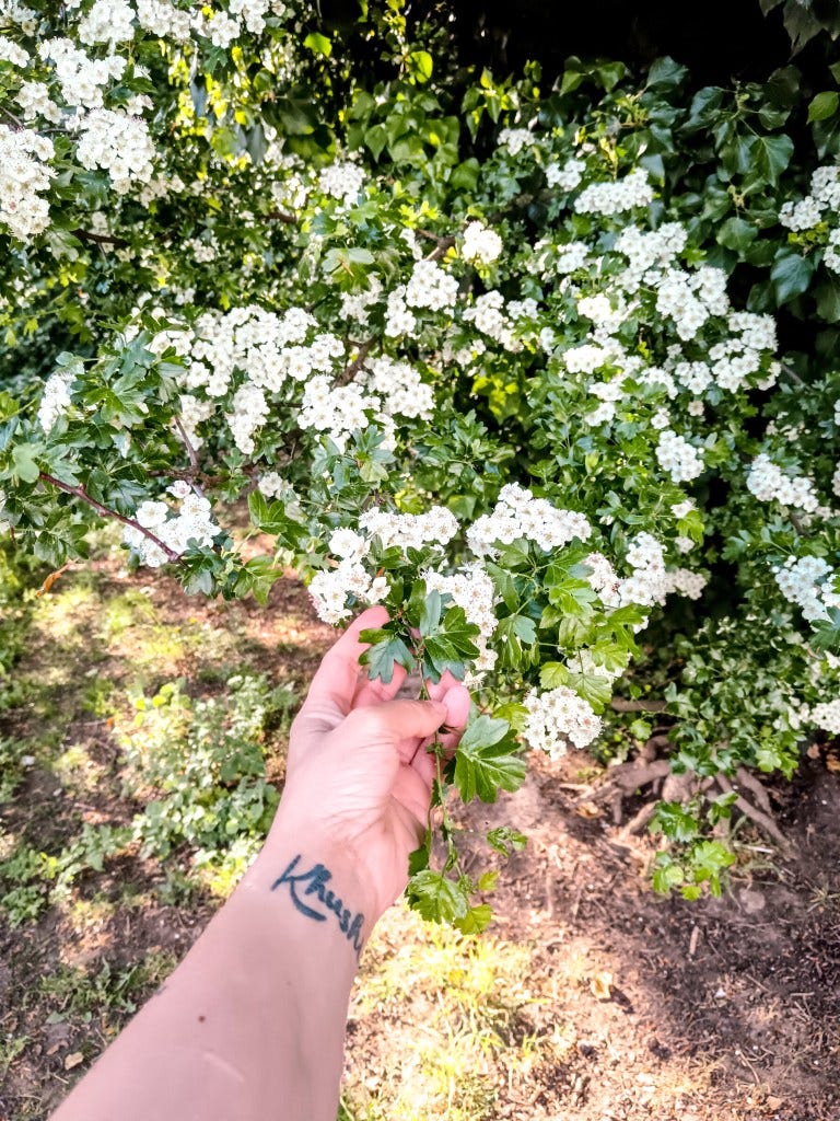 A Life Update | Becoming Her: The Beauty of the In-Between