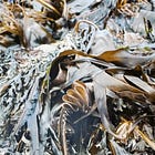 Eating your Extreme Greens