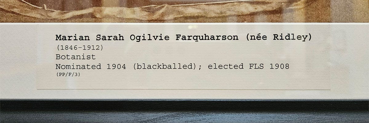A close-up of the label on a portrait, describing how Marion Farquharson was blackballed from Society membership in 1904