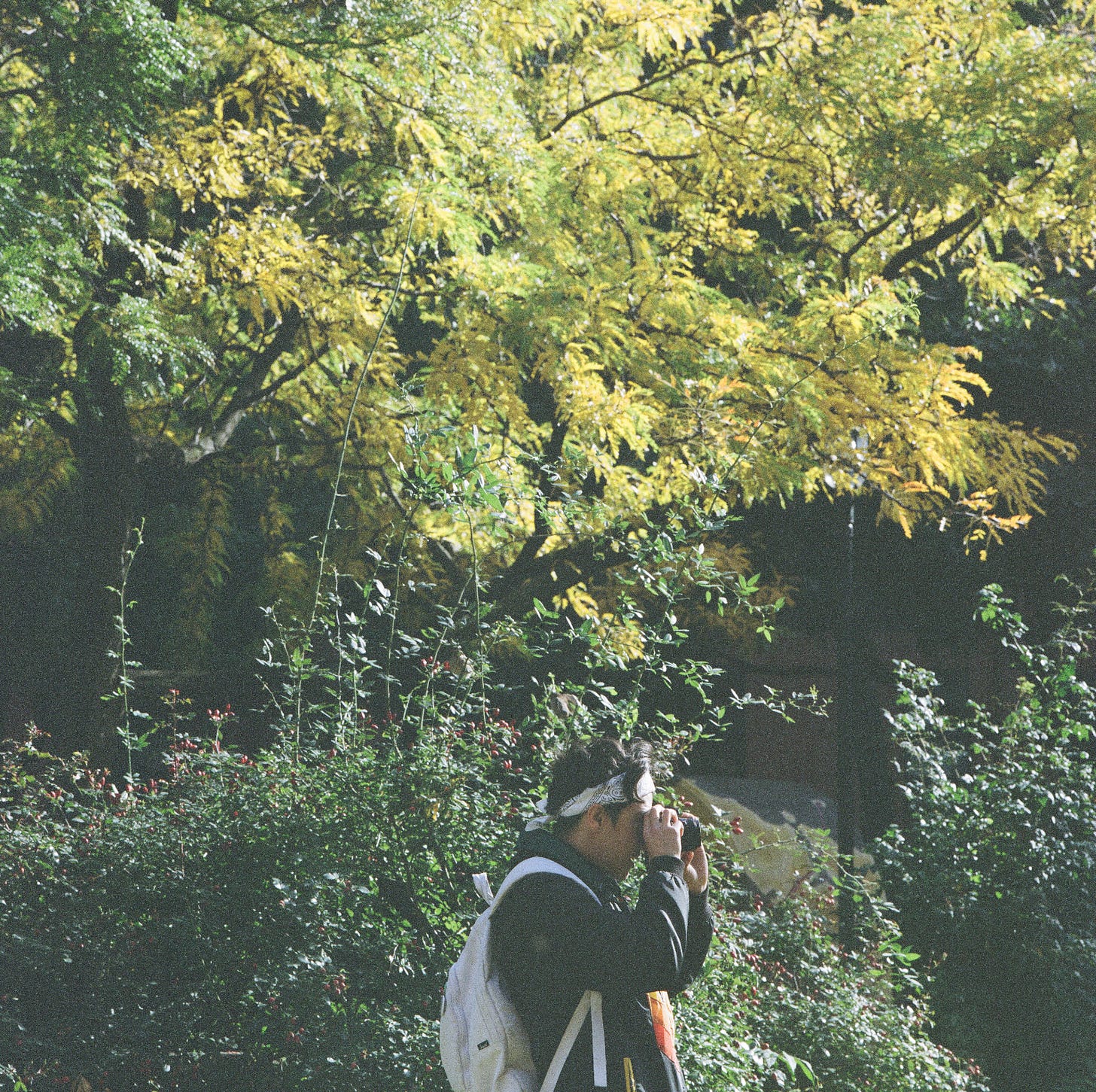 A woman with short hair and a bandanna is taking a photograph. She is in the forest and everything around her is wooded and green.